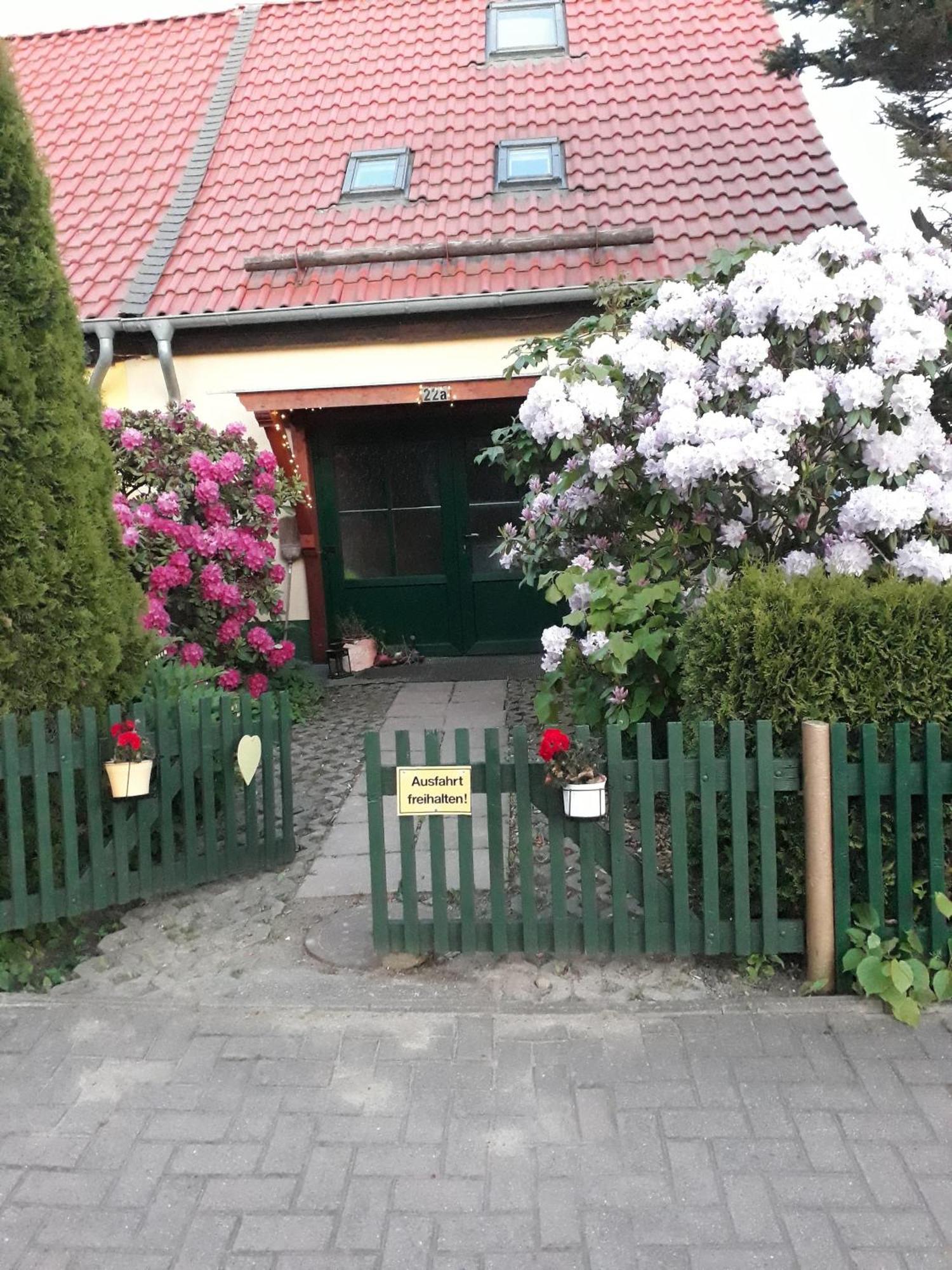 Harzglueck Villa Thale Eksteriør billede